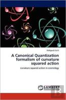 A Canonical Quantization Formalism Of Curvature Squared Action