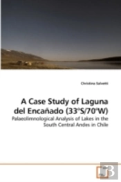 A Case Study Of Laguna Del Encañado (33°