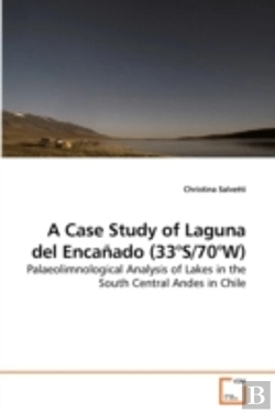 Bertrand.pt - A Case Study Of Laguna Del Encañado (33°