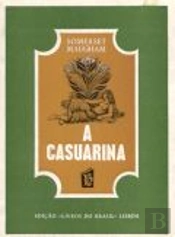 A Casuarina
