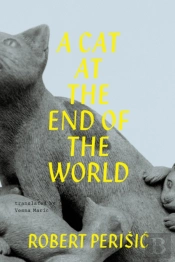 A Cat At The End Of The World
