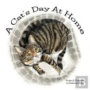 A Cat'S Day At Home