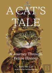 A Cat'S Tale