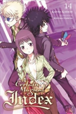 Bertrand.pt - A Certain Magical Index, Vol. 14 (Light Novel)