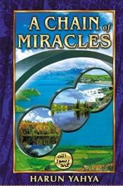 A Chain Of Miracles