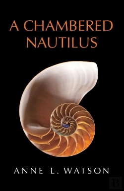 Bertrand.pt - A Chambered Nautilus
