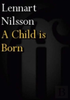 A Child Is Born