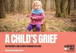 Bertrand.pt - A Child'S Grief