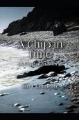 A Chip In Time