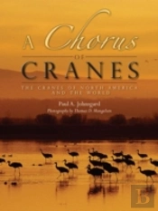 A Chorus Of Cranes