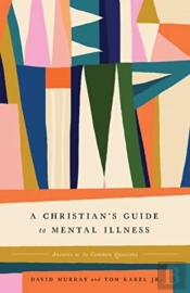 A Christian'S Guide To Mental Illness