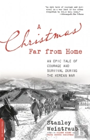 A Christmas Far From Home