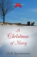A Christmas Of Mercy