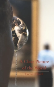 A Clear Picture Of The World