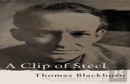 A Clip Of Steel