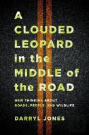 A Clouded Leopard In The Middle Of The Road