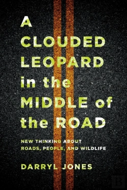 Bertrand.pt - A Clouded Leopard In The Middle Of The Road
