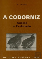 A Codorniz