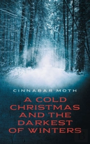 A Cold Christmas And The Darkest Of Wint
