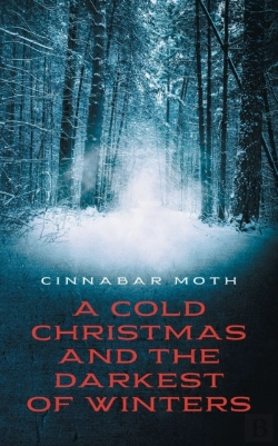 Bertrand.pt - A Cold Christmas And The Darkest Of Wint