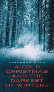 A Cold Christmas And The Darkest Of Wint