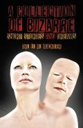 A Collection Of Bizarre Short Stories And Dreams