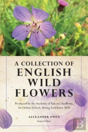 A Collection Of English Wild Flowers