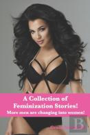 A Collection Of Feminization Stories