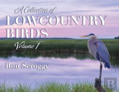 A Collection Of Lowcountry Birds