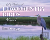 A Collection Of Lowcountry Birds