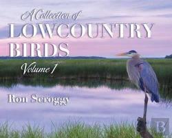 Bertrand.pt - A Collection Of Lowcountry Birds