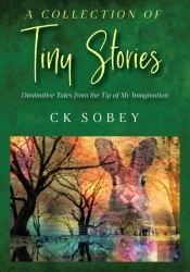 A Collection Of Tiny Stories
