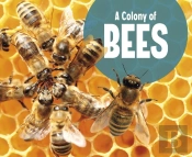 A Colony Of Bees