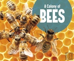 Bertrand.pt - A Colony Of Bees