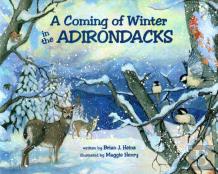 A Coming Of Winter In The Adirondacks