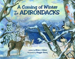 Bertrand.pt - A Coming Of Winter In The Adirondacks