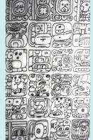 A Comparison Of Four Mayan Languages