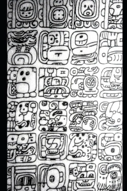 Bertrand.pt - A Comparison Of Four Mayan Languages