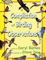 A Compilation Of Birding Observations