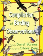 A Compilation Of Birding Observations