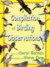 A Compilation Of Birding Observations