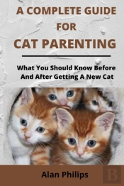 A Complete Guide For Cat Parenting