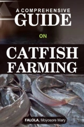 A Comprehensive Guide On Catfish Farminng