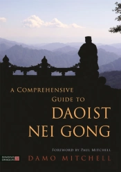A Comprehensive Guide To Daoist Nei Gong