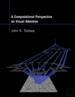 Bertrand.pt - A Computational Perspective On Visual Attention