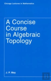 A Concise Course In Algebraic Topology