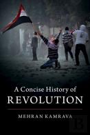 A Concise History Of Revolution
