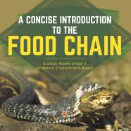 A Concise Introduction To The Food Chain | Ecology Books Grade 3 | Children'S Environment Books