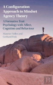 A Configuration Approach To Mindset Agency Theory