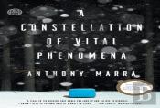 A Constellation Of Vital Phenomena